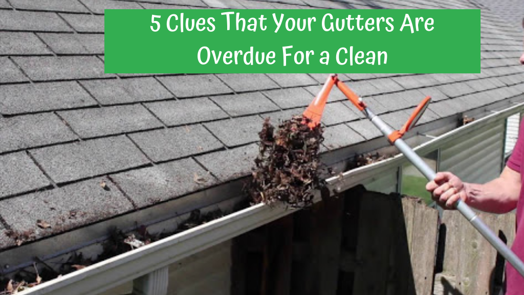 5-clues-that-your-gutters-are-overdue-for-a-clean