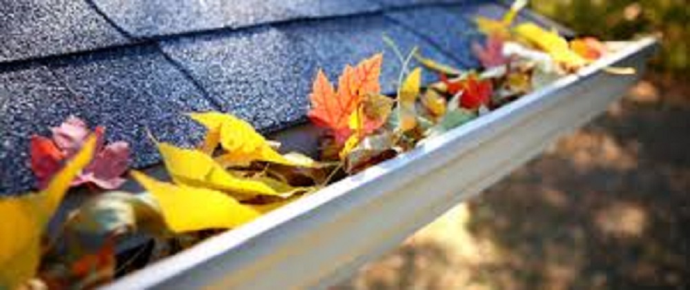 Gutter Cleaning